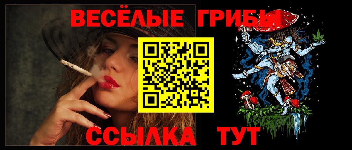 Тимашёвск  Галлюциногенные грибы GOLDEN TEACHER  Вход с VPN  Псилоцибиновые грибы Psilocybe 