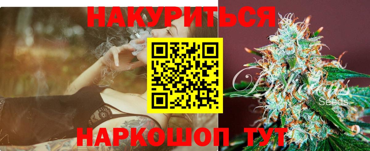 Каннабис планчик Тимашёвск